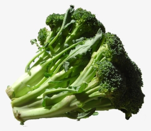 Broccoli Dsc00862 - Potassium Meaning #2831744