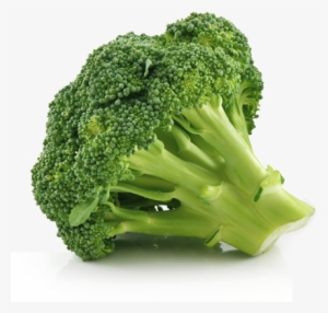 Postulez En Ligne - Broccoli #2831785