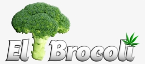 Clic Aquí Para Ir A Psiconautas - F & V - Broccoli Design Round Ornament #2832007