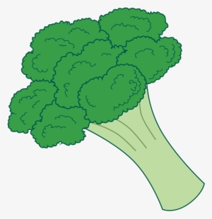Free To Use & Public Domain Broccoli Clip Art - Transparent Background Broccoli Clipart #2832037