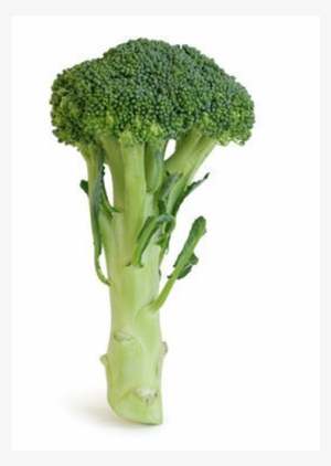 Brocoli-fw - Food #2832109