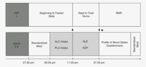Black Arrow, Brac Measurement - Number #2832457