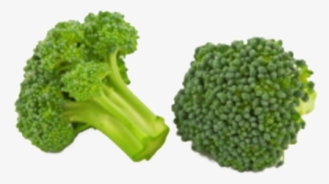 Stabilizing Female Hormones - Broccoli #2832646 Stabilizing Female Hormones - Broccoli #2832646