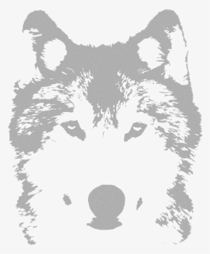 Wolfvpro Background - Graffiti Wolf #2833468 Wolfvpro Background - Graffiti Wolf #2833468