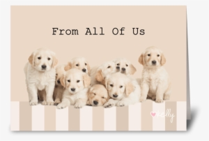 Golden Retriever Puppies From All Of Us Greeting Card - Golden Retriever #2833990