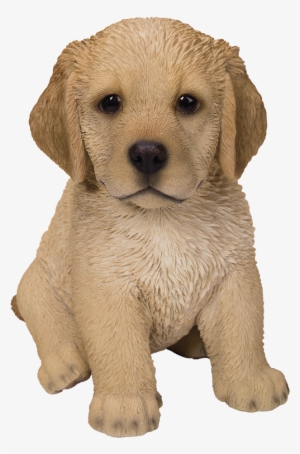 Cute Fluffy Golden Retriever Puppy Statue Life Like - Dog #2834021