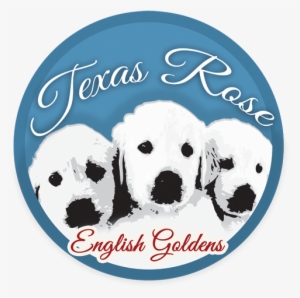 They Live In Our Home And Hear Noises Of Our Children - Saying Goodbye: The Christmas Gift #2834243