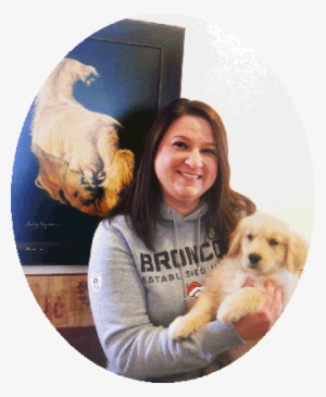 Golden Retriever Puppies - Companion Dog #2834533