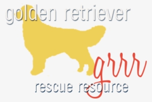 Golden Retriever #2834558