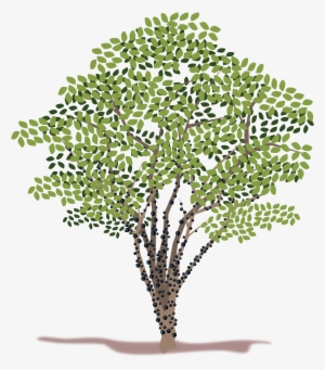 Spring Tree Vector Clipart - Tree #2835069 Spring Tree Vector Clipart - Tree #2835069
