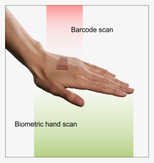 Hand With Biometrics And Barcode Mark Being Scanned - Barcode #2835606