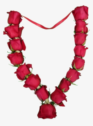 Roses - Red #2835795