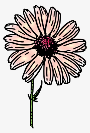 How To Set Use Light Pink Daisy Clipart - Das Vintage Gänseblümchen Danken Ihnen Notecard Karte #2836257