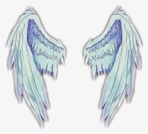 Patch Cipriano Travis Maddox #2836312