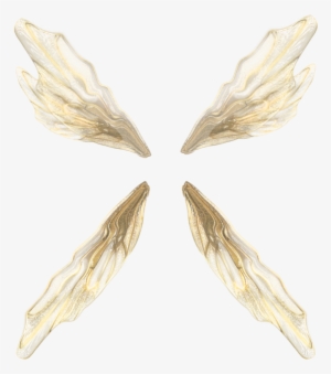 Wings - Insect #2836384