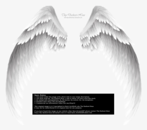White Angel Wings - Transparent Background Wings Png #2836508 White Angel Wings - Transparent Background Wings Png #2836508