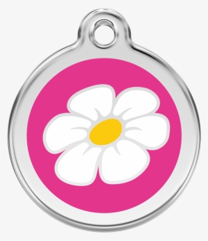 Product Codes #2836574