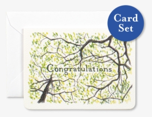 Congratulations Gleditsia Mini Card Set Of - Etsy #2836599