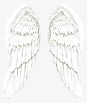 Angel Wings Transparent Tumblr - Angel Wings - Free Transparent PNG ...