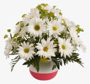 Daisy Bowl, Pink - Bowl #2836667