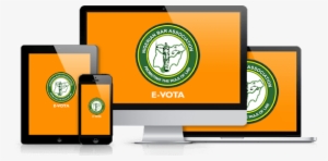 Nba 2018 Elections - High Quality Website Design #2836692