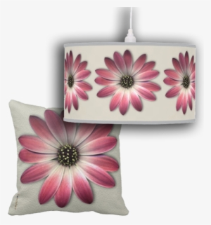 Daisy Flower Power Is A Feminine Modern Collection, - Common Daisy #2836718