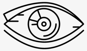 Human Eye Vector - Human Body #2837048