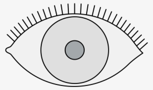 Details, Png - El Paso City Drawing #2837223