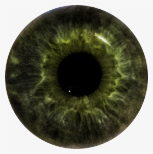 Pin Eye Care Specialists On Interesting Eye Pics Pinterest - Iris #2837253