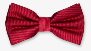 Nœud Papillon Rouge Cerise #2838007