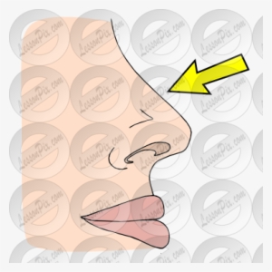 Nose Picture For Classroom / Therapy Use Great Nose - Clip Art #2838008