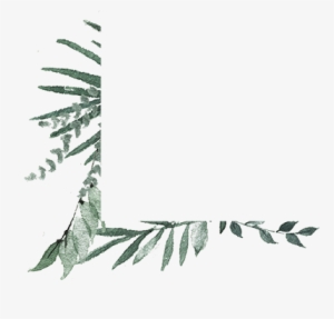 Leaf Scroll Clipart 758 - Christmas Tree #2838340