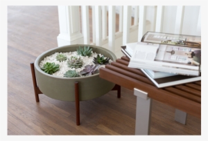 Case Study Raised Low Pan With Wood Stand - Coffee Table #2841015