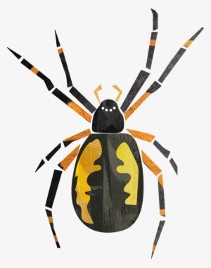 Returning This Summer - Araneus Cavaticus #2841351