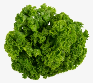 Lettuce Transparent Png Image - Collard Greens Transparent Background #2841942