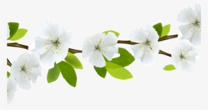 Spring Flowers Branches Transparent Png Stickpng - Flower Png Clipart #2842223