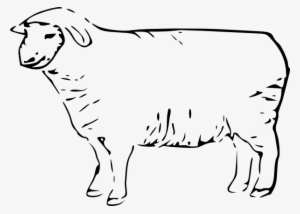Single Sheep Clip Art Free Vector / 4vector - Sheep Clip Art #2842394