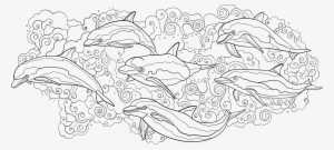 "dolphins" Inside Cover And First Page Spread - Coloring Book #2842816