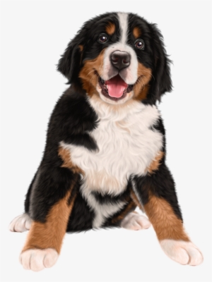 Golden Retriever Png Clipart Background - Dog Transparent #2843229