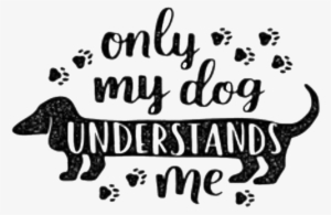 Dog Sayings Clipart - Frases Con Letras Lindas #2843326