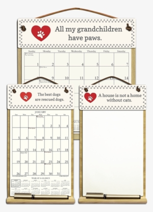 Pet Sayings - Morocco #2843556