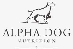 Alpha Dog Logo #2843893