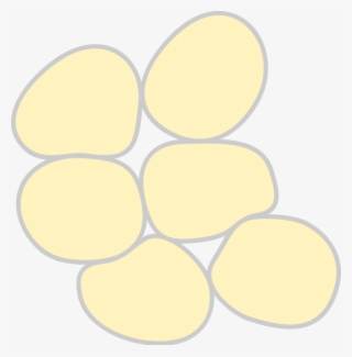 Epithelial Tissue Protects Underlying Structures Acting - Adipose Tissue Clipart #2844408