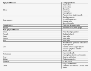 Schematic Distribution Of Cd157 In Tissues - Document #2844411