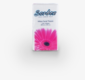 Purple Coneflower #2844483