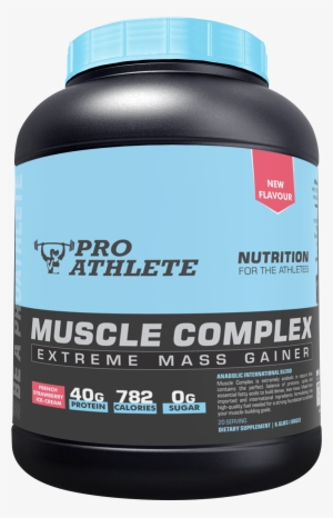 Muscle Complex - Wikimedia Commons #2844746