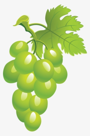 Grapes Clipart Green Grape Picture Png Image - Grape #2844994