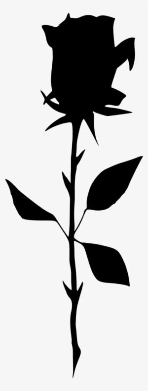 All - Silhouette Of A Rose #2845060