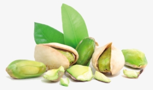 Pistachios Png - Pistachio Png #2845195