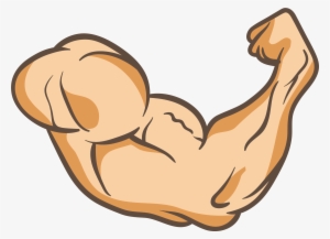Muscle Arm Cartoon Drawing - bmp-go
